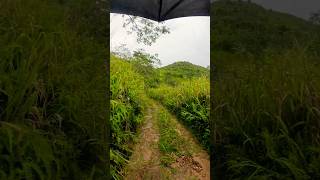 Heavy rain walking tour in village asmr walkingtour shorts [upl. by Scutt735]