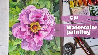 모란 그리기 꽃그림 수채화  watercolor painting  감성그림  Paeonia suffruticosa  watercolor [upl. by Harrison703]