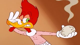 Woody Woodpecker Show  Chicken Woody  Full Episode  Videos For Kids [upl. by Julio]