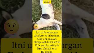 Korib koz yoshingizni tutib turaolmaysiz 😢 kinolar shortsviral shortvideos shoes [upl. by Accalia71]