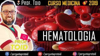 💉 Hematologia Básica  Medicina  Ensino Superior  Prof Toid 💉 [upl. by Dahaf405]