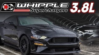 38L WHIPPLE SUPERCHARGED Mustang Puts Down 1300hp  PLUS Whipple 2020 GT500 News [upl. by Drarrej]