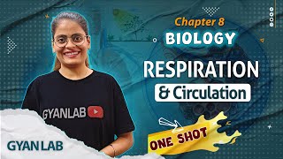 One Shot Lecture  Chp  8  Respiration amp Circulation  Gyanlab  Anjali Patel oneshotlecture [upl. by Ecnerewal]