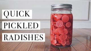 Quick Pickled Radishes  From Scratch [upl. by Hube]