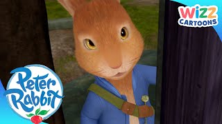 OfficialPeterRabbit  The Unguarded House  ActionPacked Adventures  Wizz Cartoons [upl. by Genesa]