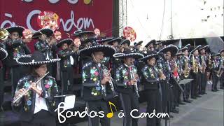 Bandas à Condom 2024  Cant Hold Us par les Leones ITP Marching Band [upl. by Akenat479]