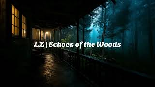 LZ  Echoes of the Woods LoFi Chill Night Rain Vibes [upl. by Chadabe]