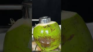 Coconut Happiness coconut coconutwater fresh asmr asmrsounds asmrvideo satisfying [upl. by Eillime]