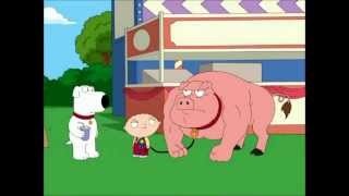 Family Guy  15 Minutes of OINK deadwarrior63 [upl. by Ennahgiel237]