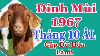 Xem Đinh Mùi 1967 Tháng 10 ÂL Gặp Dữ Hóa Lành Tương Đối Thuận Lợi [upl. by Elime97]