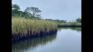 HyperGlider in the backwaters of Homosassa FL [upl. by Tor]