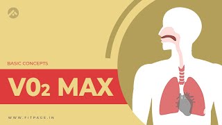 What is VO2 Max  VO2 Max Explained  Sports Science  How To Improve Your VO2 Max  Fitpage [upl. by Winifield5]