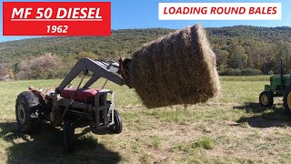 1962 Massey Ferguson 50 Diesel Loading Round Bales  John Deere 5055D Hauling [upl. by Arenahs]