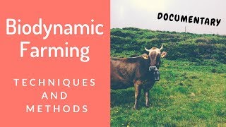 Documentary Biodynamic Farming Techniques amp Methods Explained [upl. by Nemrak]