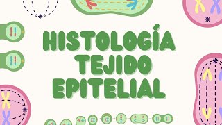 Histología de los Tejidos Epiteliales Estructura y Función [upl. by Daggna]