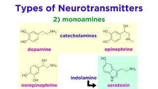 Neurotransmitters Type Structure and Function [upl. by Cud417]