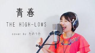 青春  THE HIGHLOWS cover by たのうた [upl. by Behka294]