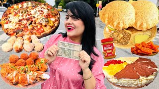 Living on Rs 1000 for 24 Hours Challenge  Noida Food Challenge [upl. by Marella]