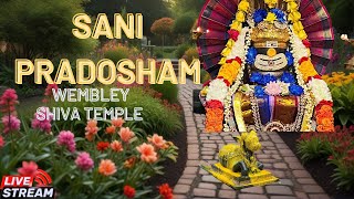 Watch Live Sani Pradosham April 2024 Wembley Shiva Temple London [upl. by Cannon]