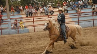 Rasgos de los Equinos y Ganado para el Rodeo  TvAgro por Juan Gonzalo Angel [upl. by Ruskin]