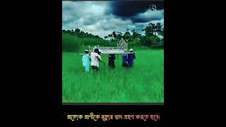 quotকুল্লু নাফসিন জাইকাতুল মাউতquotঅর্থ প্রত্যেক প্রাণীকেই মৃত্যুর স্বাদ গ্রহণ করতে হবে। islam shorts [upl. by Aliekahs]