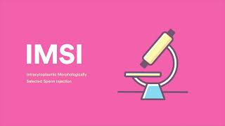 IMSI Intracytoplasmic Morphologically Selected Sperm Injection shorts [upl. by Anisah]