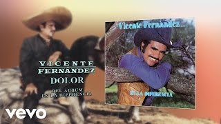 Vicente Fernández  Dolor Cover Audio [upl. by Iat]