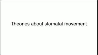 Theories on stomatal movement [upl. by Jarlen732]