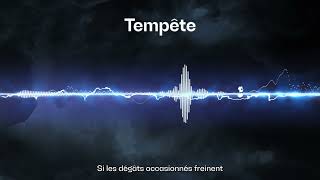 Reconstruire après la tempête  Podcast quotTempêtequot épisode 2 [upl. by Rabin]