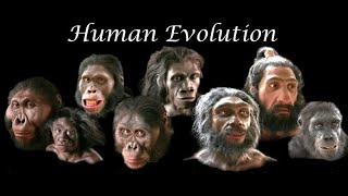 Evolution  Lamarck and Darwin Theory  Giraffe concept  Life Science grade 12 [upl. by Hctub]