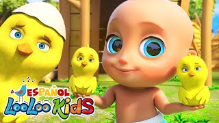 🐤🐥Los Pollitos Dicen Pio Pio  Canciones Infantiles para niños  LooLoo Kids [upl. by Shurlocke]