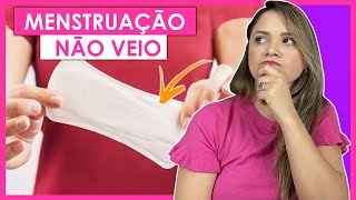 A MENSTRUAÇÃO NÃO VEIO O QUE PODE SER [upl. by Gilburt]