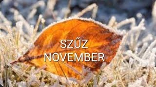 Szűz♍️ novemberi energiák [upl. by Alyal]