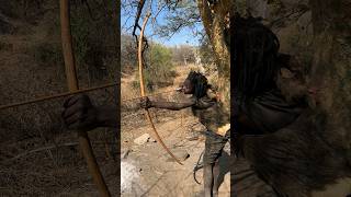 Hadza Handmade Bows are heavy to pull  watch this hadzabetribe africantribe [upl. by Yoko378]