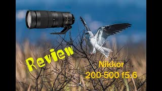 Nikon 200500mm AFS f56 G ED Review en español [upl. by Asoj]