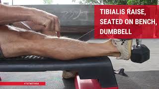 Tibialis Raise Seated on Bench Dumbbell [upl. by Ocirrej]