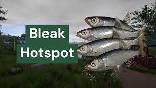 Bleak Hotspot Baitfish  Trophy  Mosquito Lake  Russian Fishing 4  RF4 [upl. by Deland]