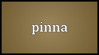 Pinna Meaning [upl. by Spatola]