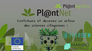 PlantNet pour les nuls [upl. by Alesig794]