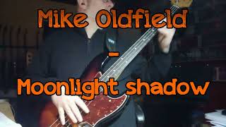 119 Mike Oldfield Moonlight shadow bass cover [upl. by Nnarefinnej]