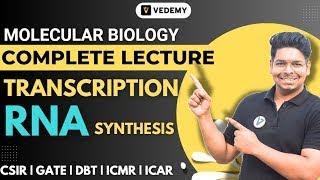 Transcription  Molecular Biology  One Shot Lecture  Virendra Singh  CSIR  DBT  ICMR  GATE [upl. by Orenid]