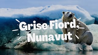 Most Northern Place in Canada  Grise Fiord Nunavut  Coldest Place in Canada [upl. by Arihsa]