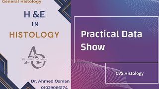 Practical Histology Data Show CVS [upl. by Ecahc]