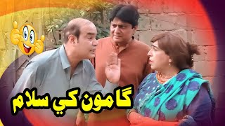 Gamoo Khe Salam  Zakir Shaikh  Gamoo  Sohrab Soomro  fazelat Begum  New Funny Clip [upl. by Dnama]