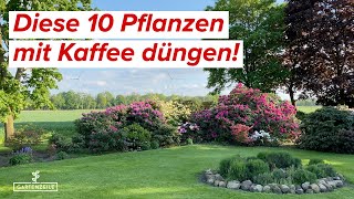 Diese 10 Pflanzen lieben Kaffeesatz Kaffee als Dünger im Garten einsetzen [upl. by Leaffar961]