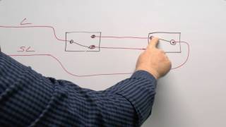 Shunted amp nonShunted T8 amp T12 Sockets Tombstones Explained by Total Bulk Lighting [upl. by Gnud]