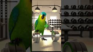 You Wont Believe These Animals Fitness Transformations 🐱💪🐔 short [upl. by Iatnahs]