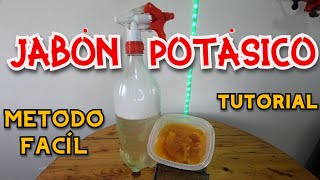 JABÓN POTÁSICO Método Fácil  INSECTICIDA ORGÁNICO FÁCIL ¿Cómo hacerlo  TUTORIAL [upl. by Llertrac81]