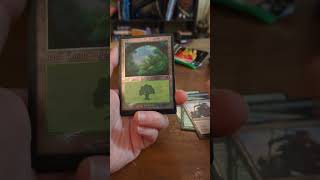 THIS IS LEGENDARY  Cracking Early Commander Masters Collectors Boosters magicthegathering [upl. by Ettelegna112]