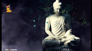 LIVE TV BUDDHISM IN THE WORLD [upl. by Nailimixam]